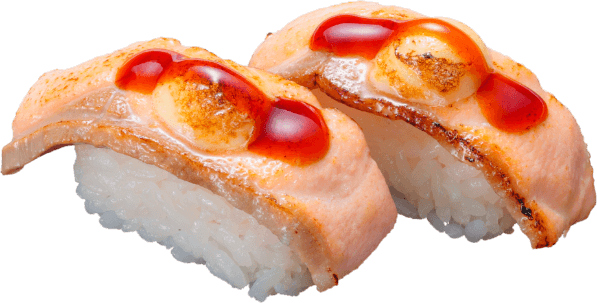 マヨダレオーロラサーモン